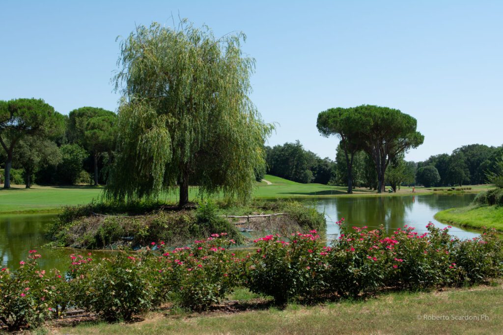 A tu per tu con Stefano Iacobelli, Presidente dell'esclusivo Olgiata Golf Club 2 La vegetazione