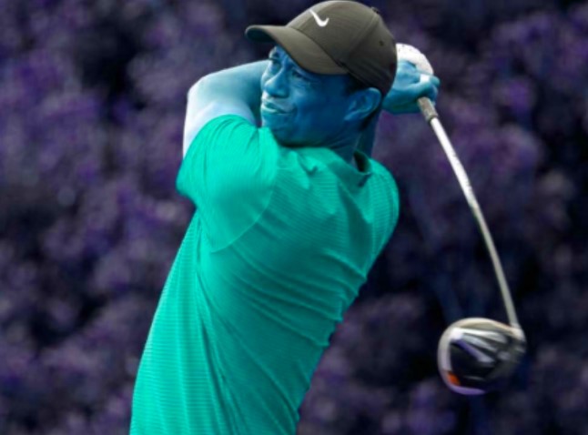 Le tecniche di gioco: i consigli dei grandi del golf 2 Tiger Woods