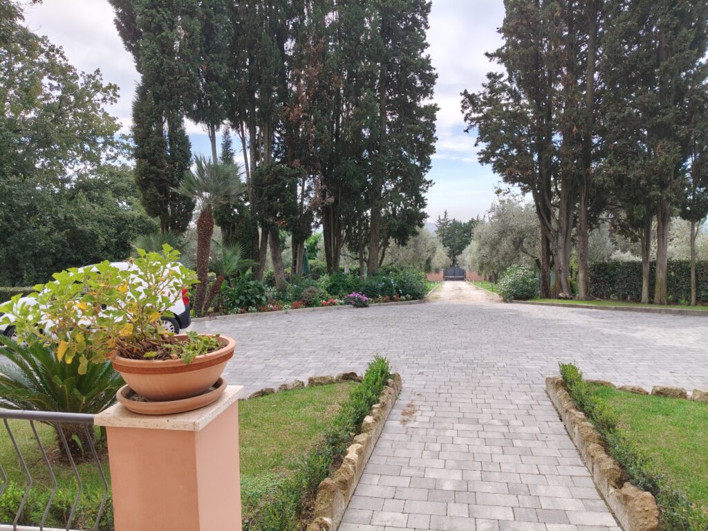 IMG20241011115138 1
